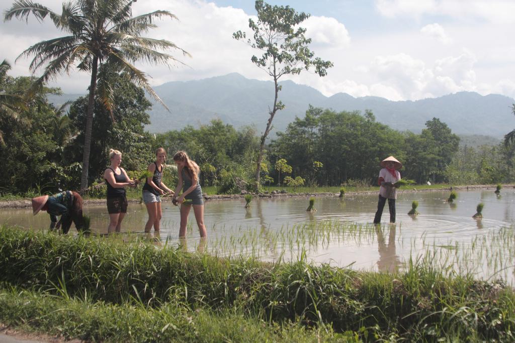 Ijen Bondowoso Home Stay Exteriör bild